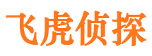 卫滨外遇出轨调查取证